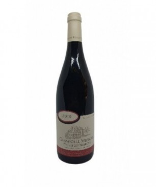 CHAMBOLLE MUSIGNY 1ER CRU LES NOIROTS 2019 DOM ROBLOT 75CL