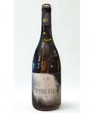 LUMINOPHAGE CÔTES DE THONGUE BLANC 2021 75 CL