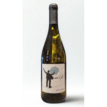 SUR LE FIL RIESLING 2023 JEFF CARREL 75CL