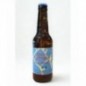 SAGA VIKINGS 33CL BRASSERIE BROTONIA