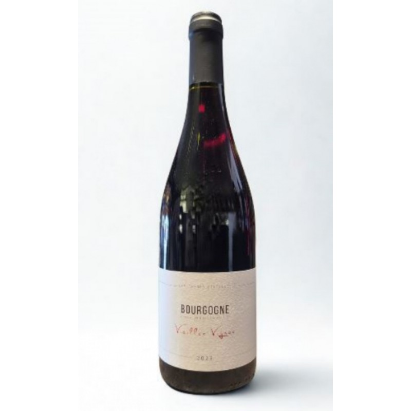 BOURGOGNE PINOT NOIR VIEILLES VIGNES 2023 75CL BOURGOGNE PINOT NOIR VIEILLES VIGNES 2023 75CL