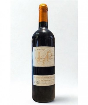 MONTAGNE SAINT EMILION 2021-LA FLEUR PLAISANCE 75CL