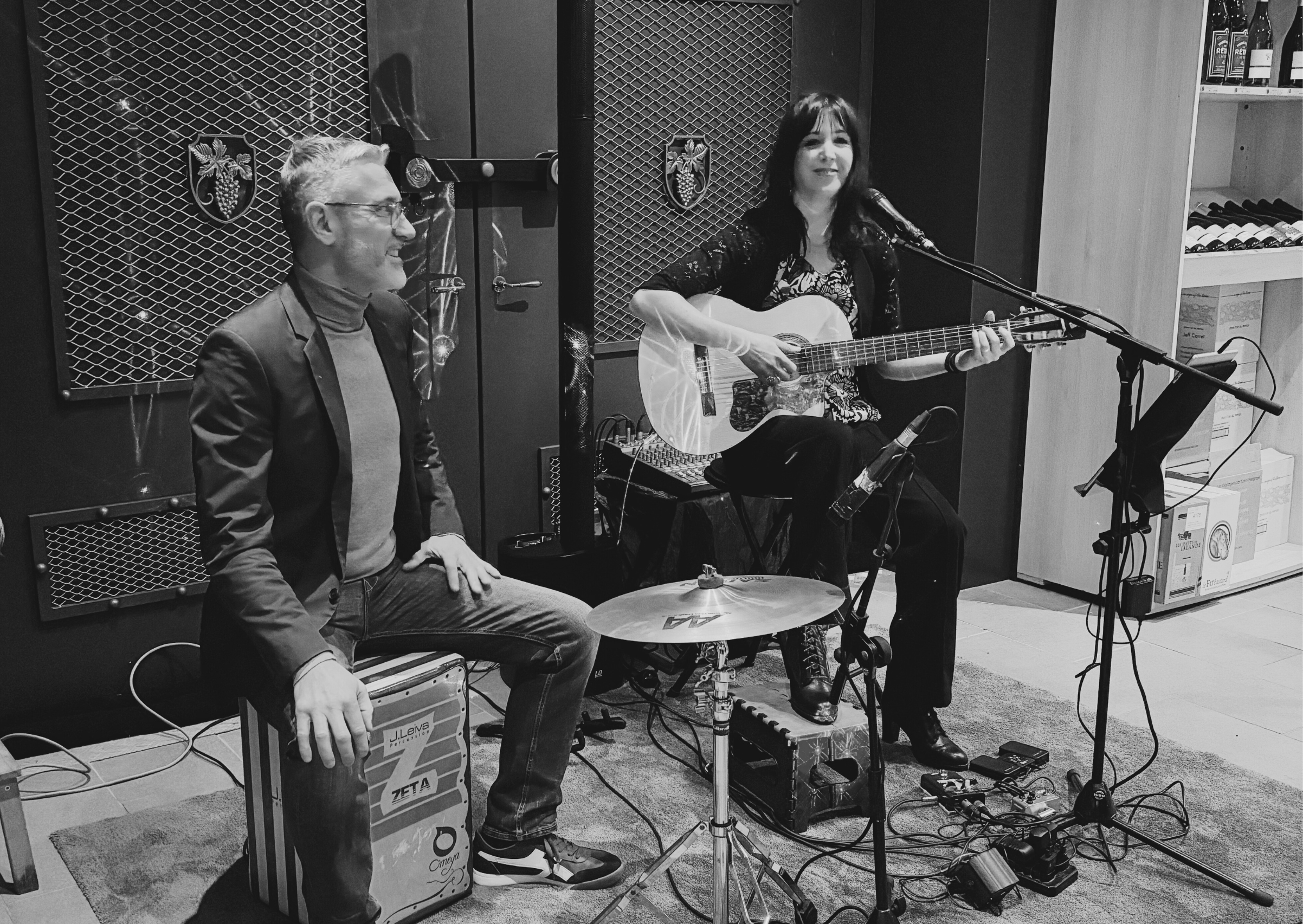 chanteur pour une soirée évènement